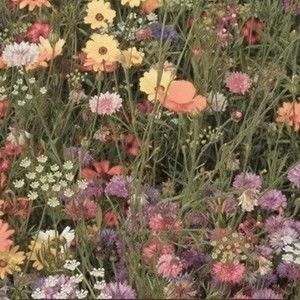 Meet your Posher, Daisy